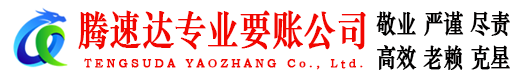 海盐讨债公司